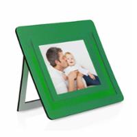 Pictium miniature Vert